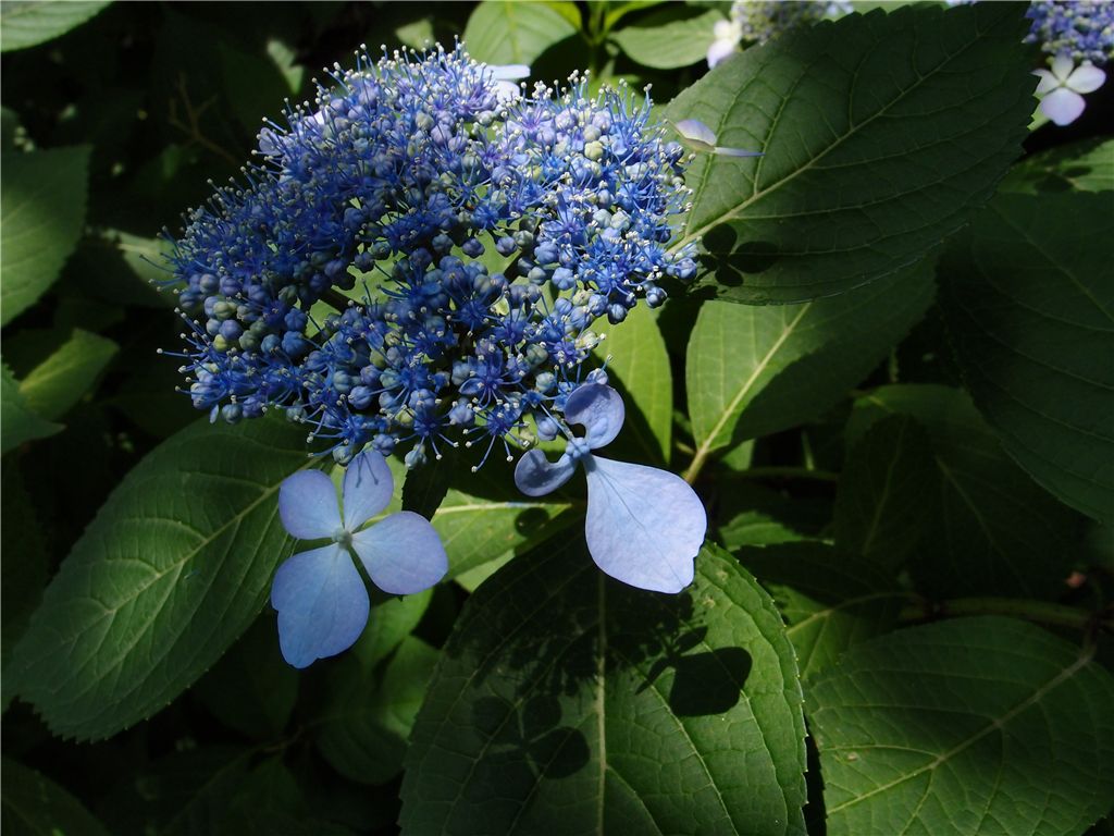 f0224100_23565295.jpg