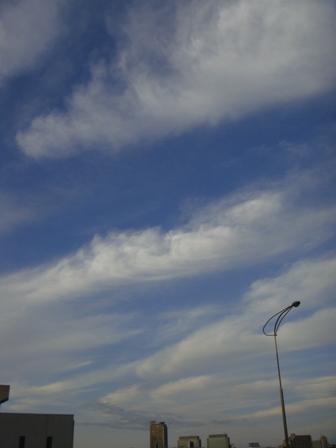 a0167803_7592176.jpg