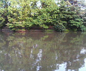 a0212807_23264659.jpg