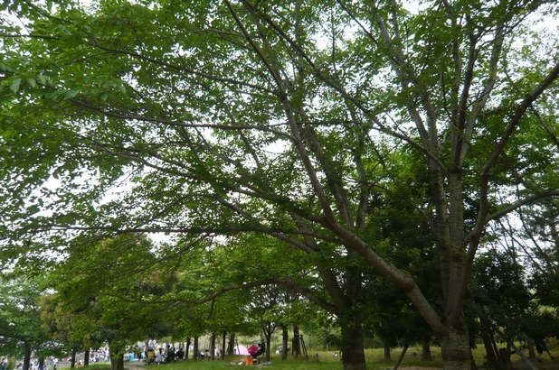 f0221708_18241110.jpg
