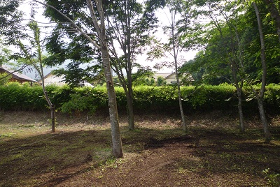a0156611_17101881.jpg