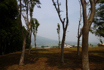 a0156611_17104027.jpg
