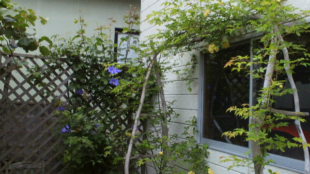 b0035611_19272615.jpg