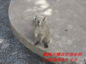 c0083817_1505597.gif