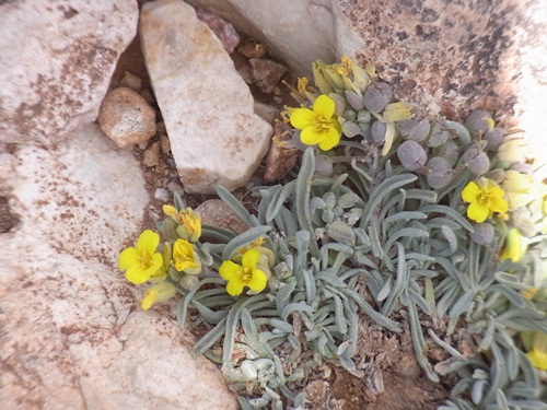 c0223117_2324367.jpg