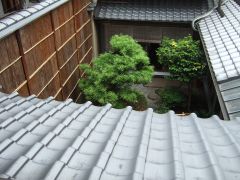 d0041124_16564613.jpg