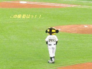 b0102728_928424.jpg