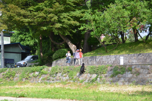d0156438_18131845.jpg