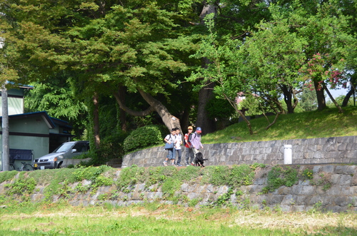 d0156438_1814613.jpg