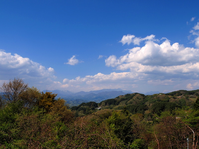 a0106043_0302390.jpg