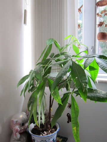 e0018143_117672.jpg
