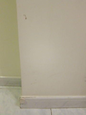 e0018143_1235392.jpg