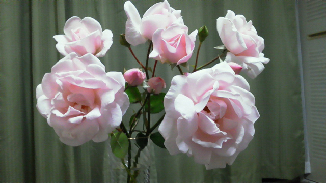 f0179947_1699.jpg