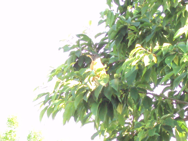 a0204348_9202810.jpg