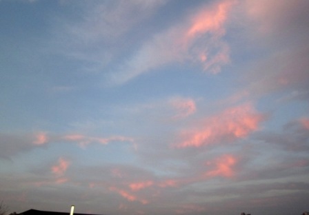 b0173754_11535924.jpg