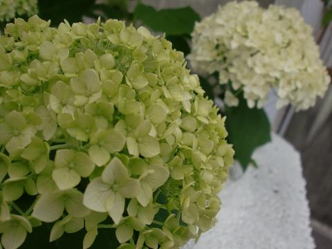c0172261_9404742.jpg