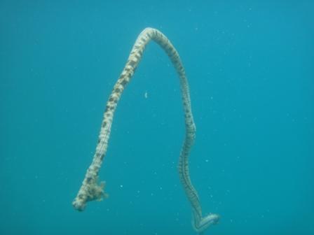 c0182661_23573310.jpg