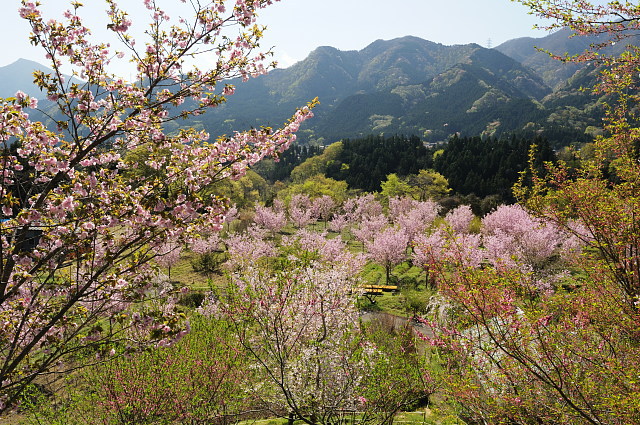 f0222161_14503676.jpg