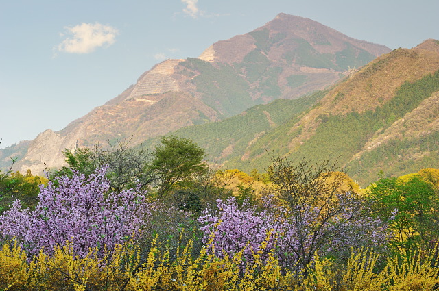 f0222161_14512793.jpg
