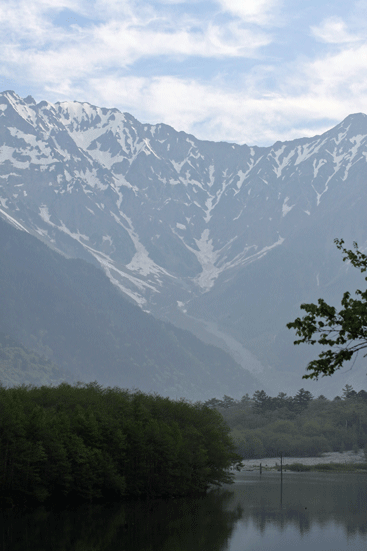f0107364_21251983.gif