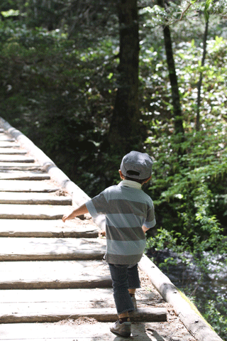 f0107364_2255989.gif