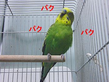 f0196665_23365412.jpg