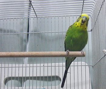 f0196665_23384244.jpg