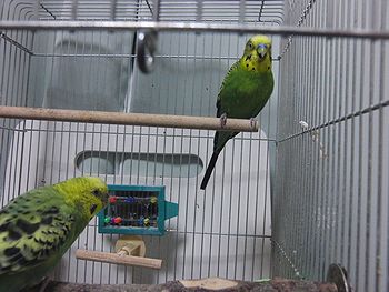 f0196665_23411964.jpg