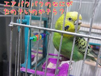 f0196665_2347512.jpg