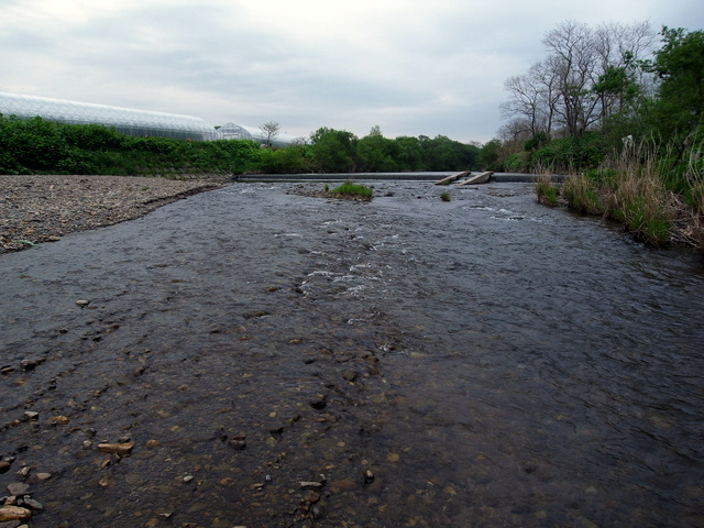 b0130166_21422314.jpg