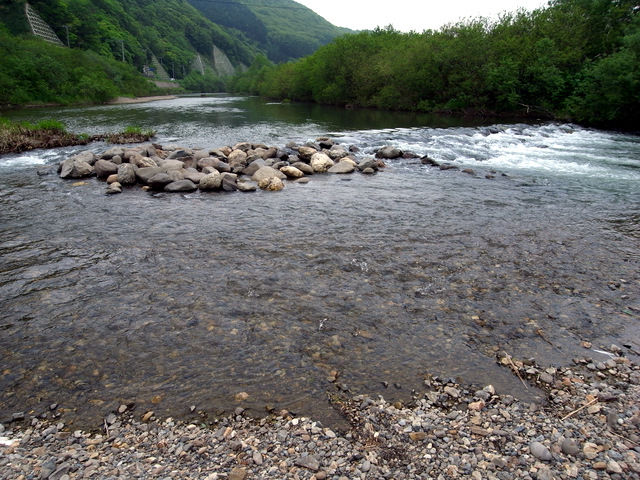 b0130166_21422321.jpg