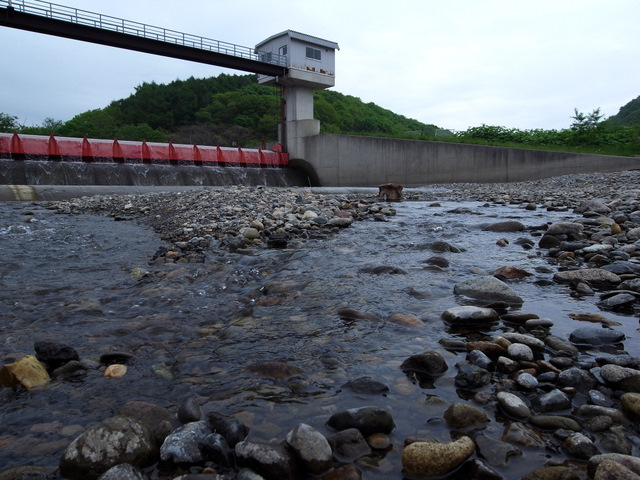 b0130166_21422368.jpg
