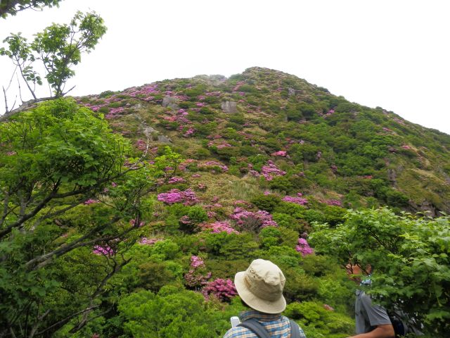 c0042869_21333626.jpg