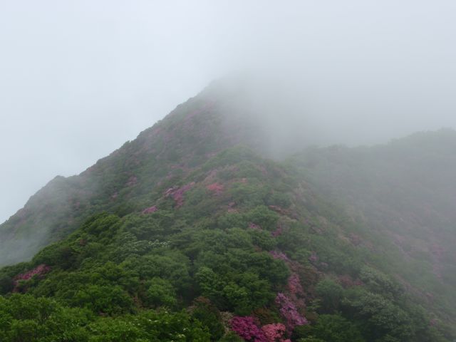 c0042869_2145484.jpg