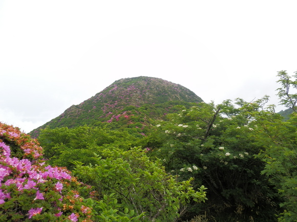 c0042869_2216197.jpg