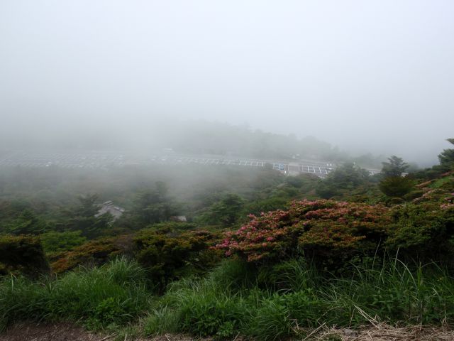 c0042869_22195699.jpg