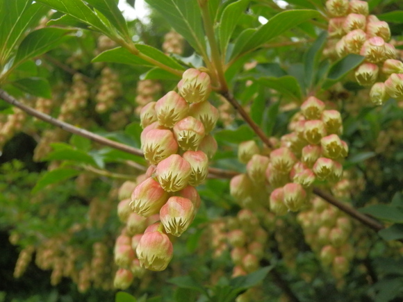 c0042869_2221610.jpg
