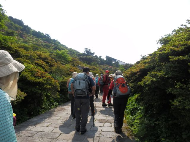 c0042869_224676.jpg