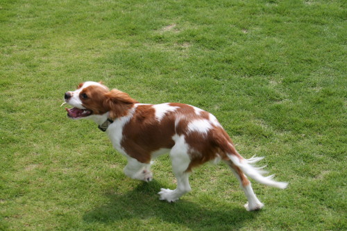 e0114977_0242662.jpg