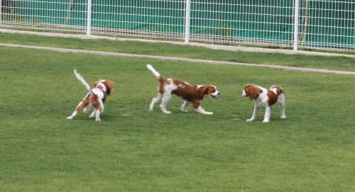 e0114977_028497.jpg