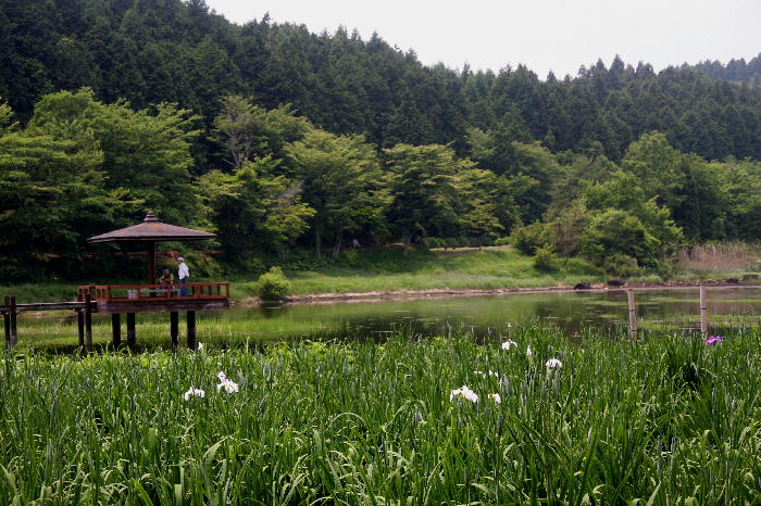 b0171185_23362798.jpg