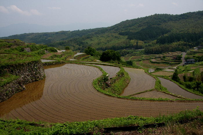 b0171185_23592937.jpg