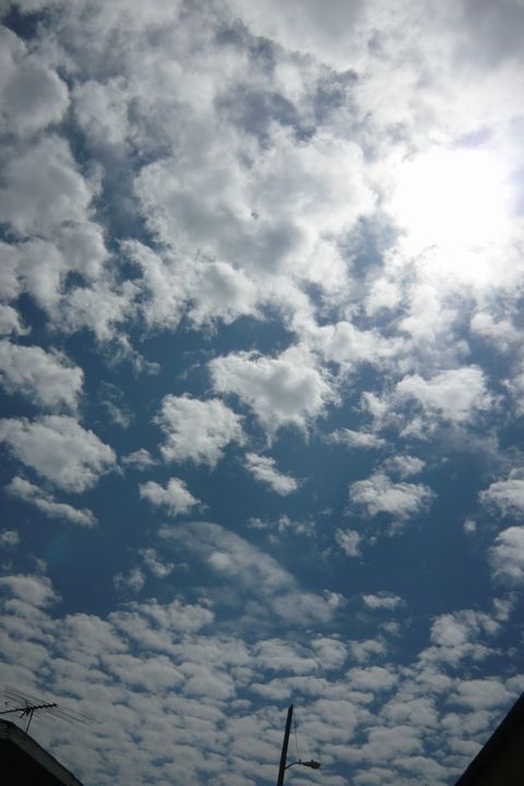 b0202185_3233550.jpg
