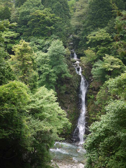 e0197785_21533054.jpg