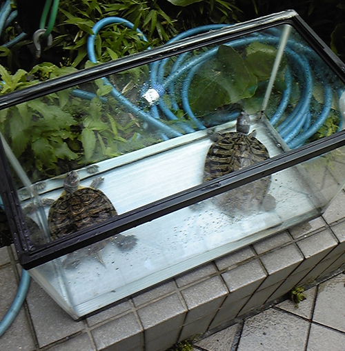d0174489_23101412.jpg