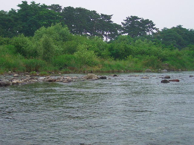 e0202393_2331194.jpg