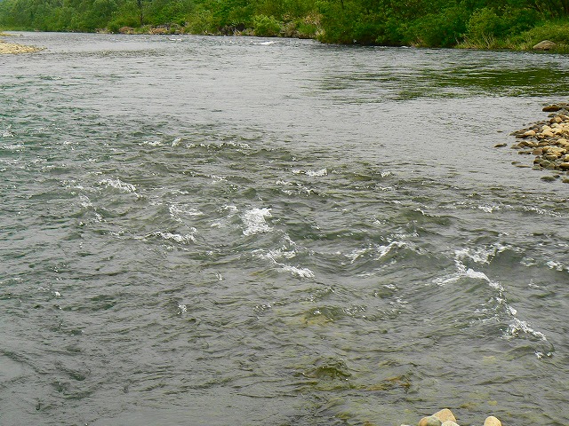 e0202393_23383596.jpg