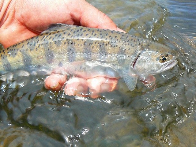 e0202393_23391375.jpg