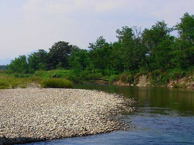 e0202393_23393154.jpg