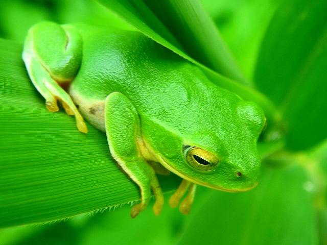 e0202393_2342972.jpg